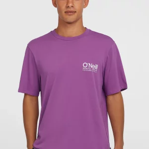 Camiseta O'Neill Cali Logo – Básica con Estilo Surf USA