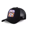 Gorra Maestro Roshi Capslab Negra – Dragon Ball Oficial Gorra Maestro Roshi Capslab Negra – Dragon Ball Oficial